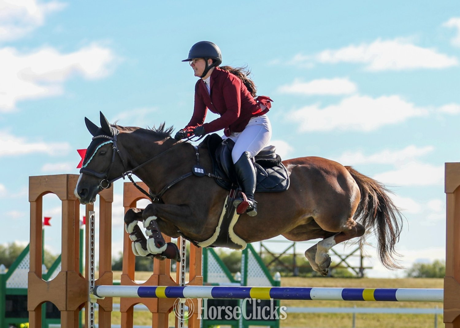 "Sansa" Chestnut Mare Quarter Horse in Alberta