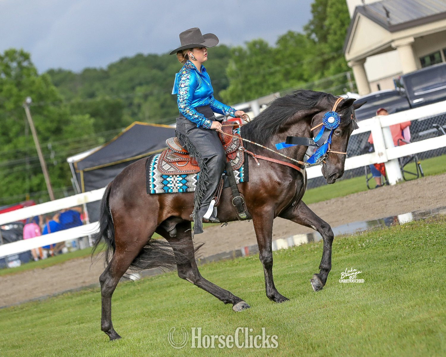 "CHA CHING IT'S DIRTY CHARLIE" Black Gelding Tennessee Walker - Tennessee Walker in Kentucky