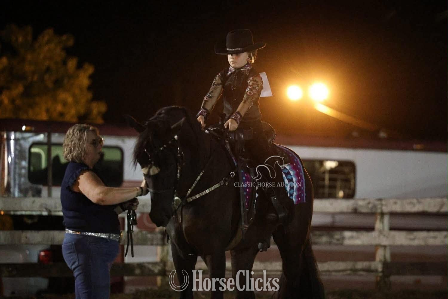 Tennessee Walker - "CHA CHING IT'S DIRTY CHARLIE" Black Gelding Tennessee Walker