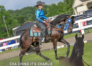 "CHA CHING IT'S DIRTY CHARLIE" Black Gelding Tennessee Walker