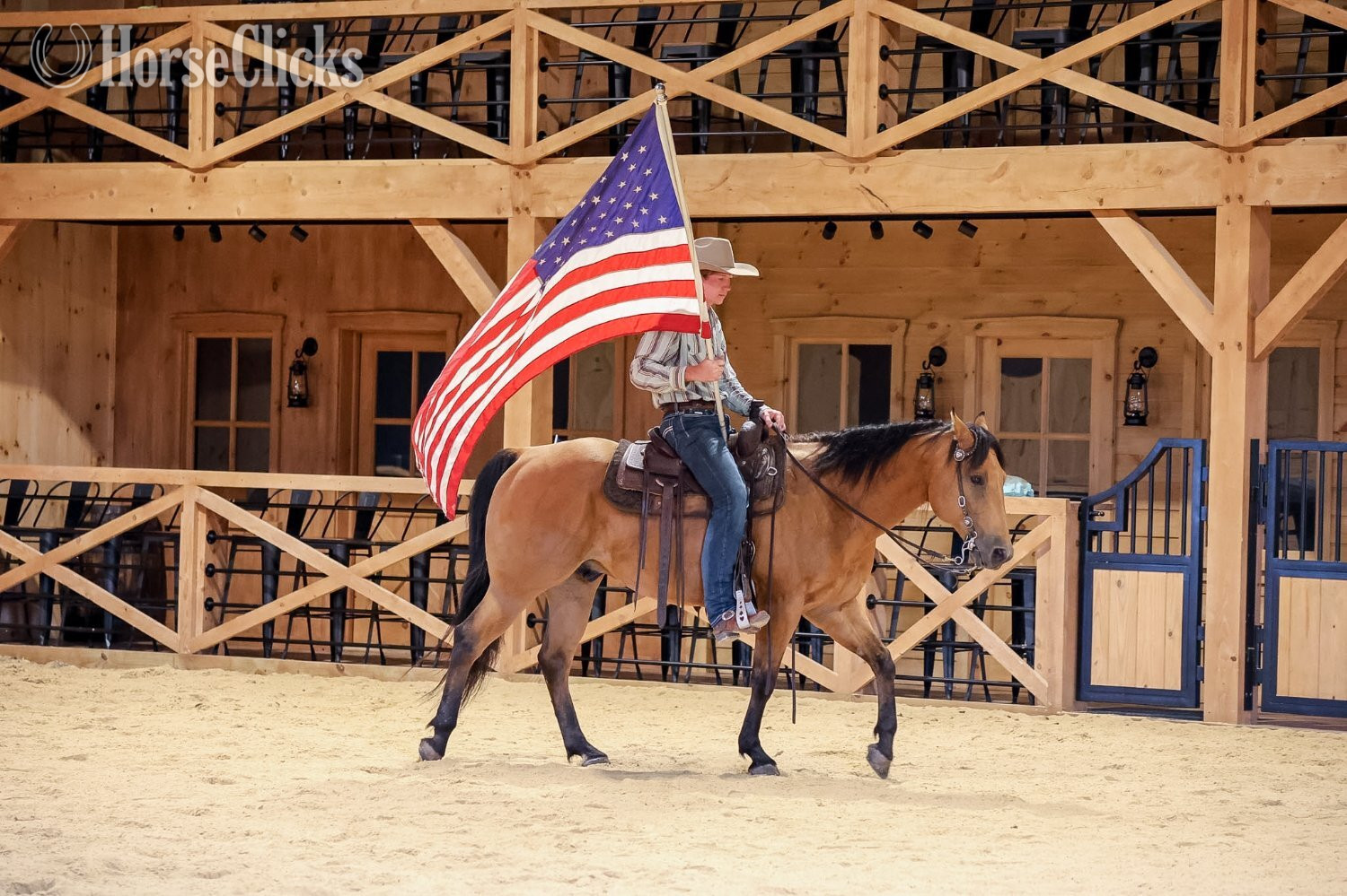 "Concho " Buckskin Gelding Quarter Horse - Quarter Horse in Pennsylvania