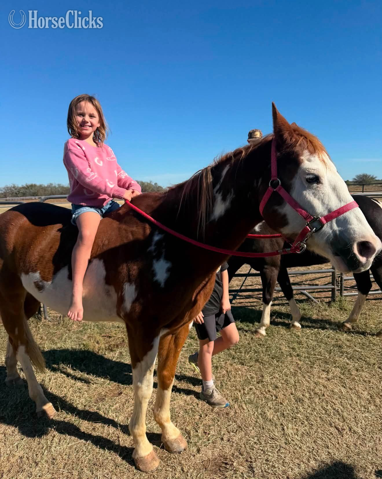 "CHEETO" Sorrel Gelding Paint Texas