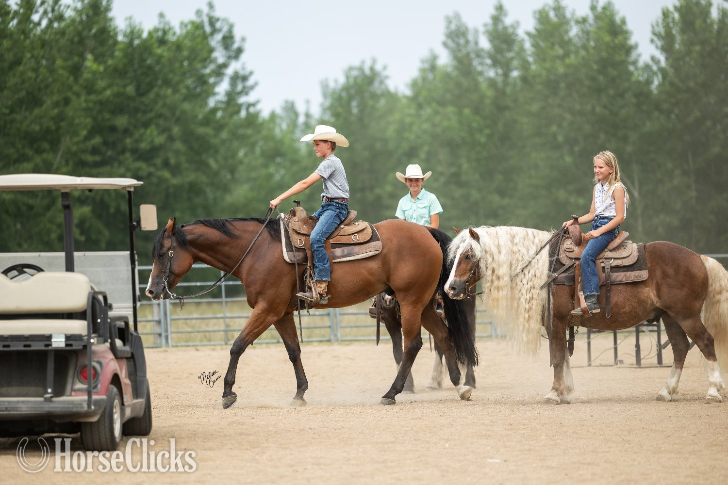 Quarter Horse - "Tourist " Bay Gelding Quarter Horse in Minnesota