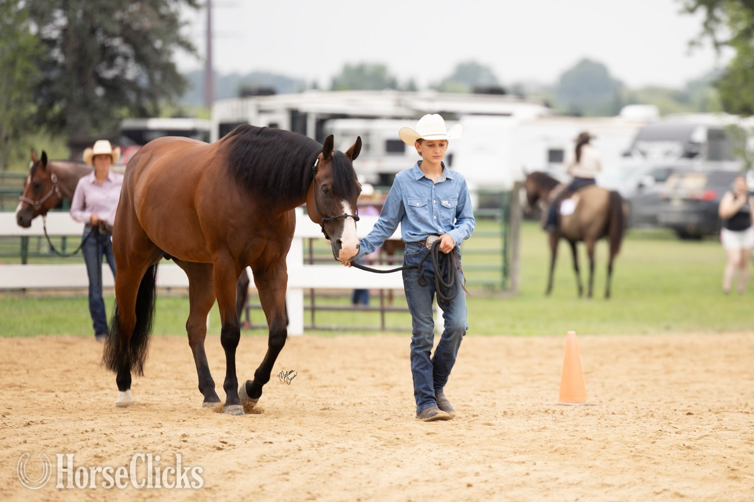 Quarter Horse - "Tourist " Bay Gelding Quarter Horse