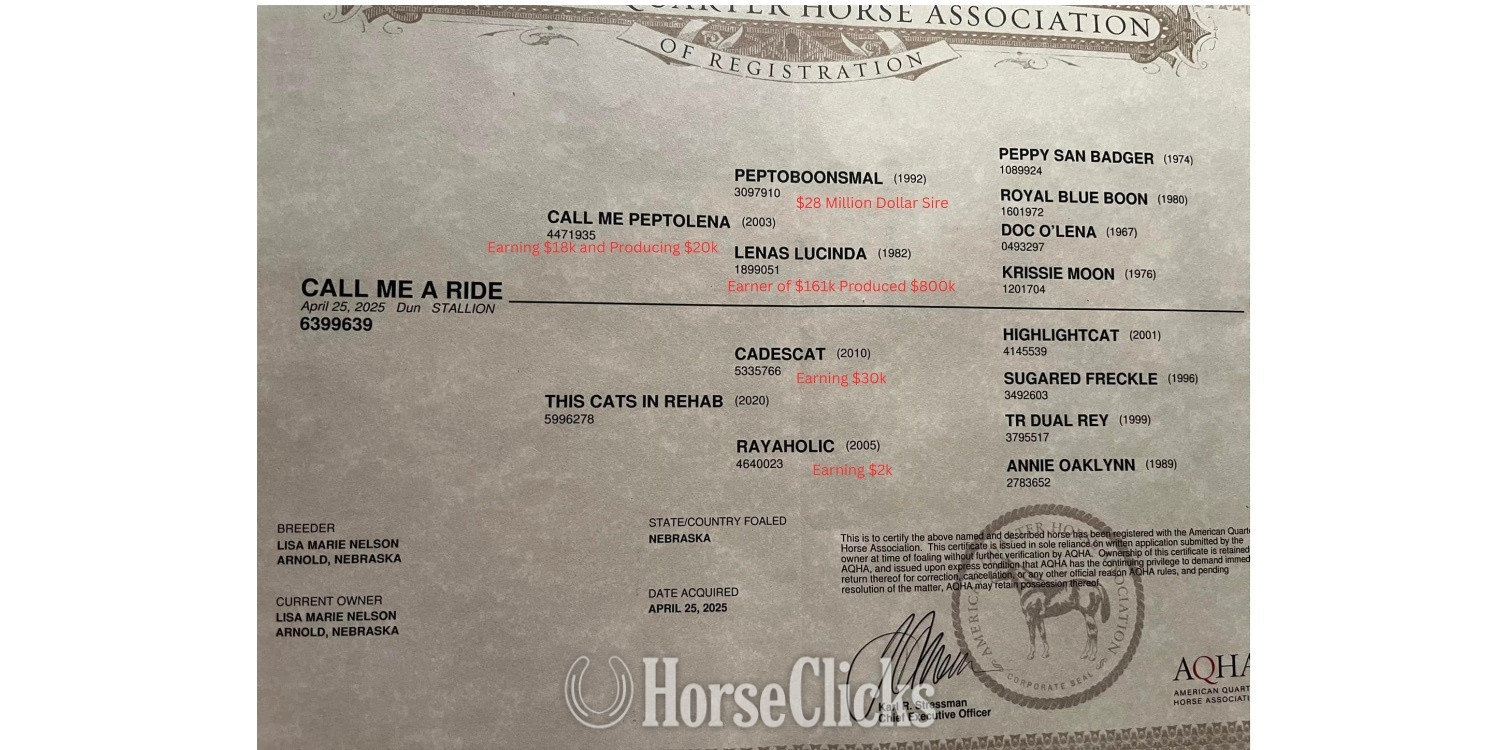 Nebraska "Call Me A Ride" Dun Colt Quarter Horse