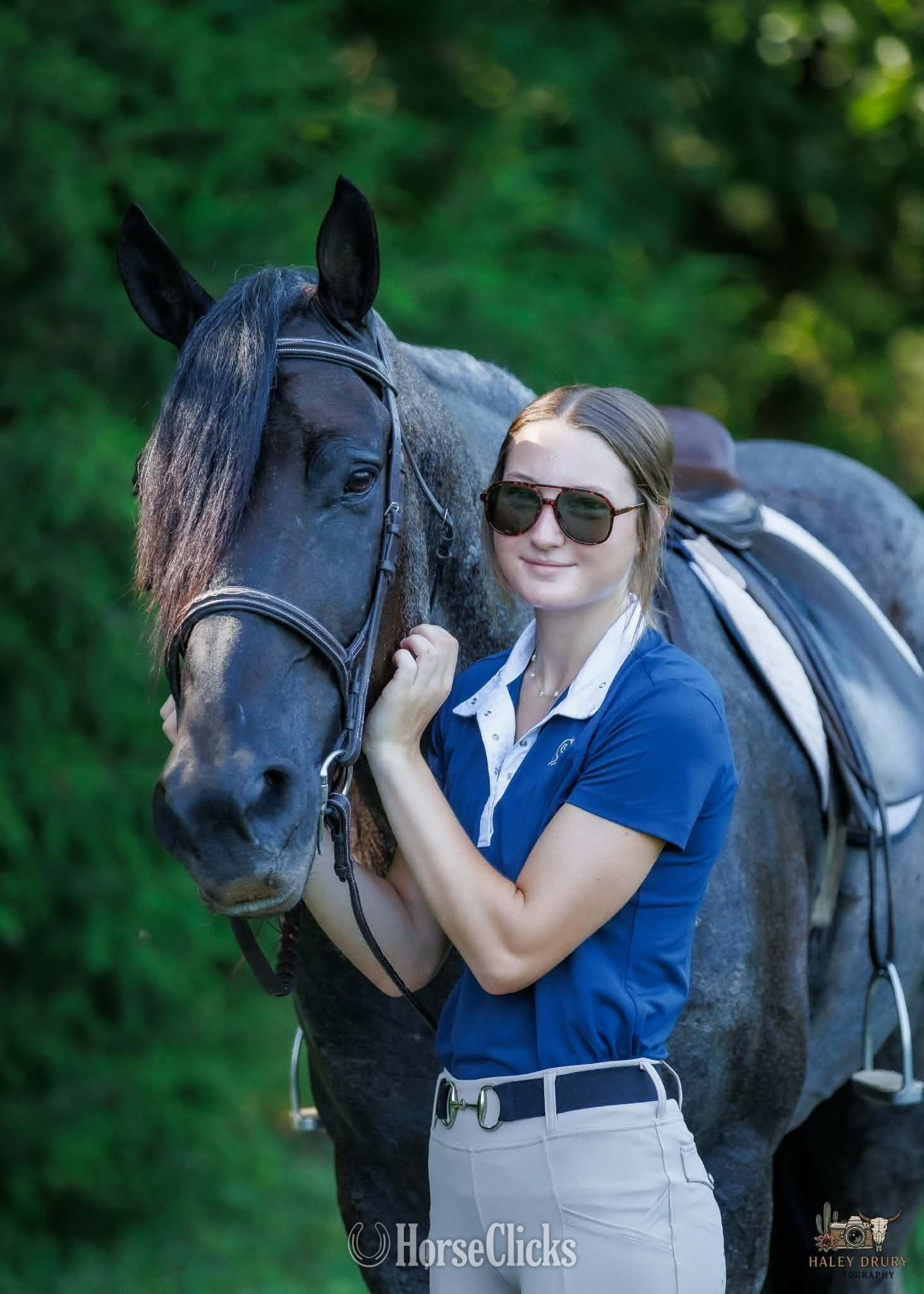 Kentucky "Beaumont " Blue Roan Gelding Percheron