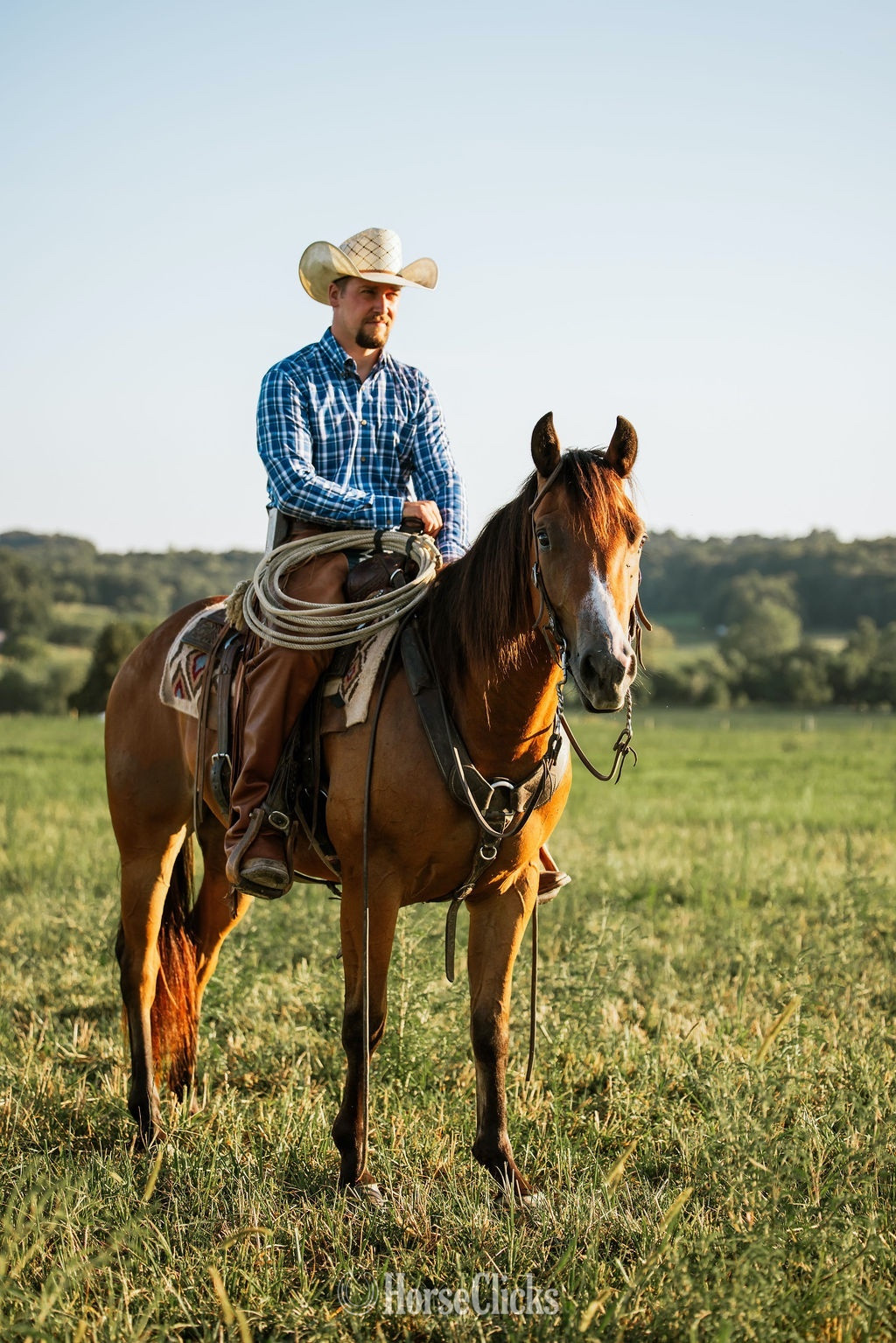 Ohio "PC BOONS TOWN ("Gizmo")" Bay Gelding Quarter Horse