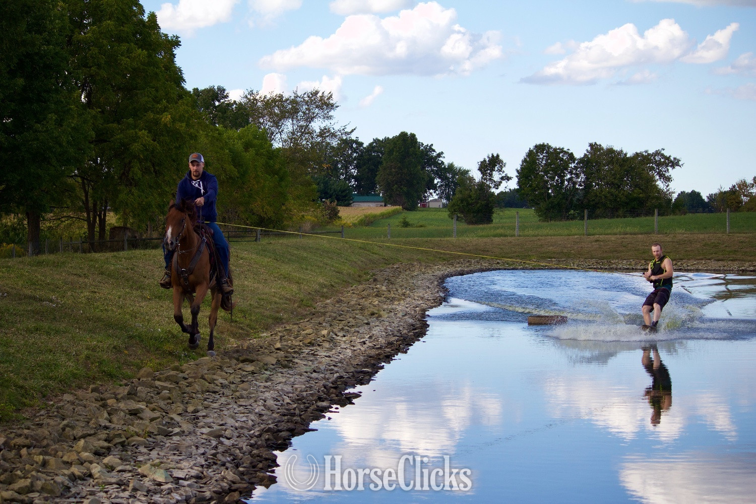 "PC BOONS TOWN ("Gizmo")" Bay Gelding Quarter Horse - Quarter Horse