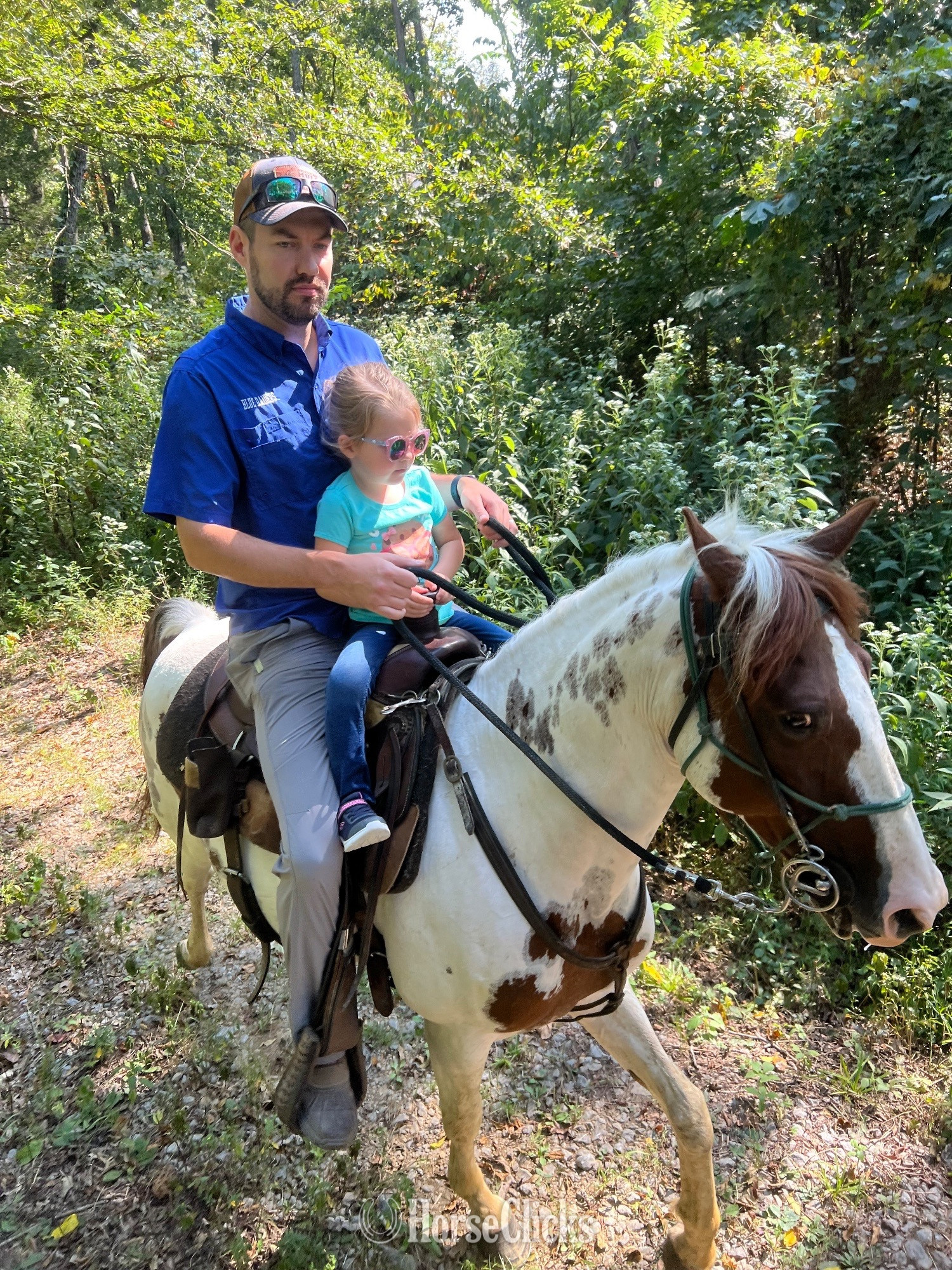 Spotted Saddle - "Pixie" Spotted Mare Spotted Saddle
