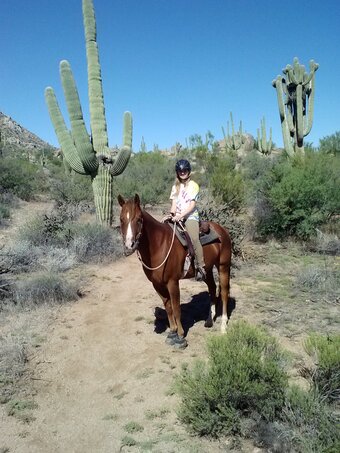 "Buddy" Sorrel Gelding Quarter Horse