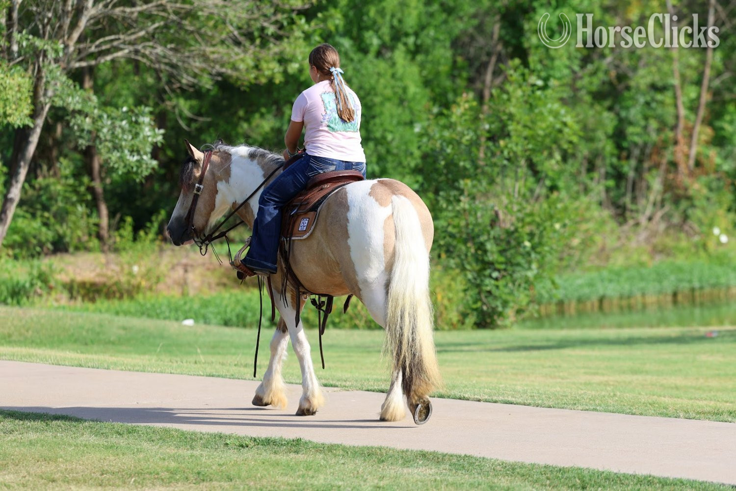 "SIMBA" Piebald Gelding Gypsy Vanner Texas