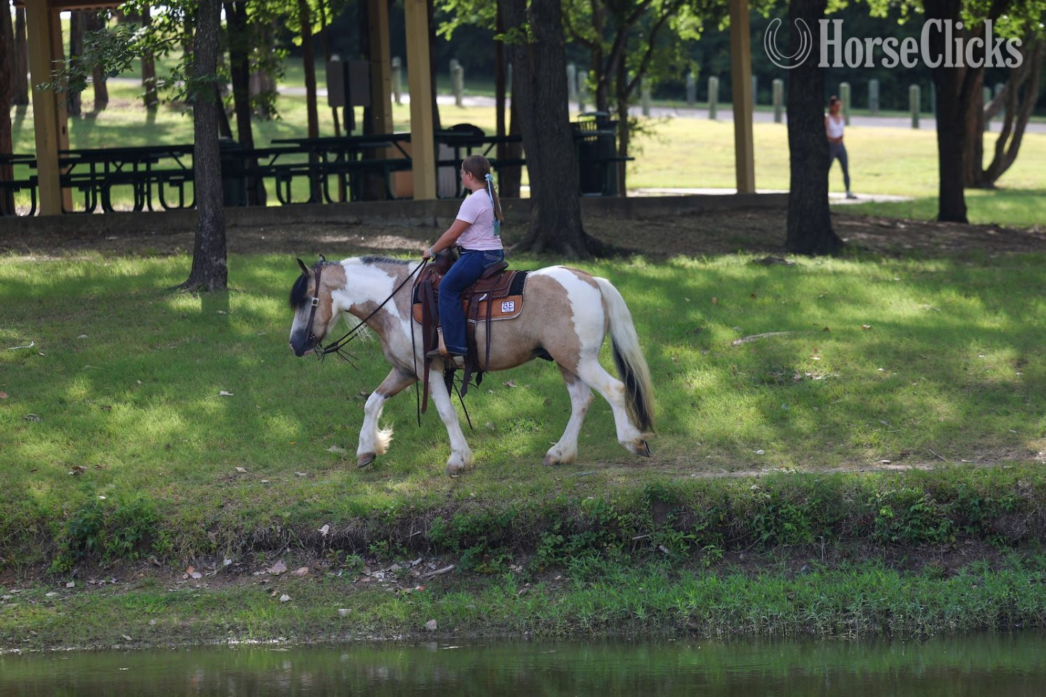 Gypsy Vanner - "SIMBA" Piebald Gelding Gypsy Vanner