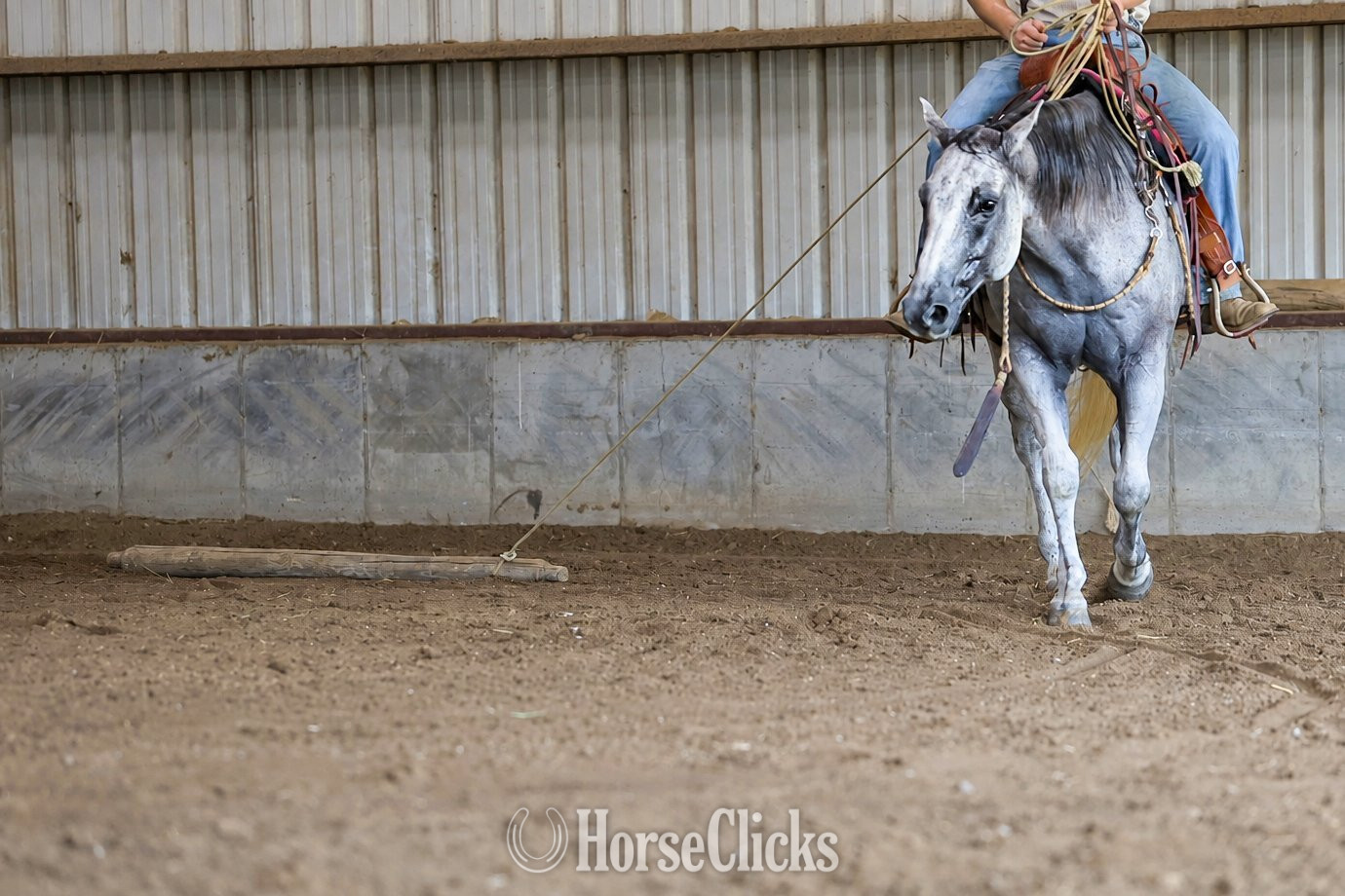 "Silver " Grey Gelding Quarter Horse - Quarter Horse in Missouri