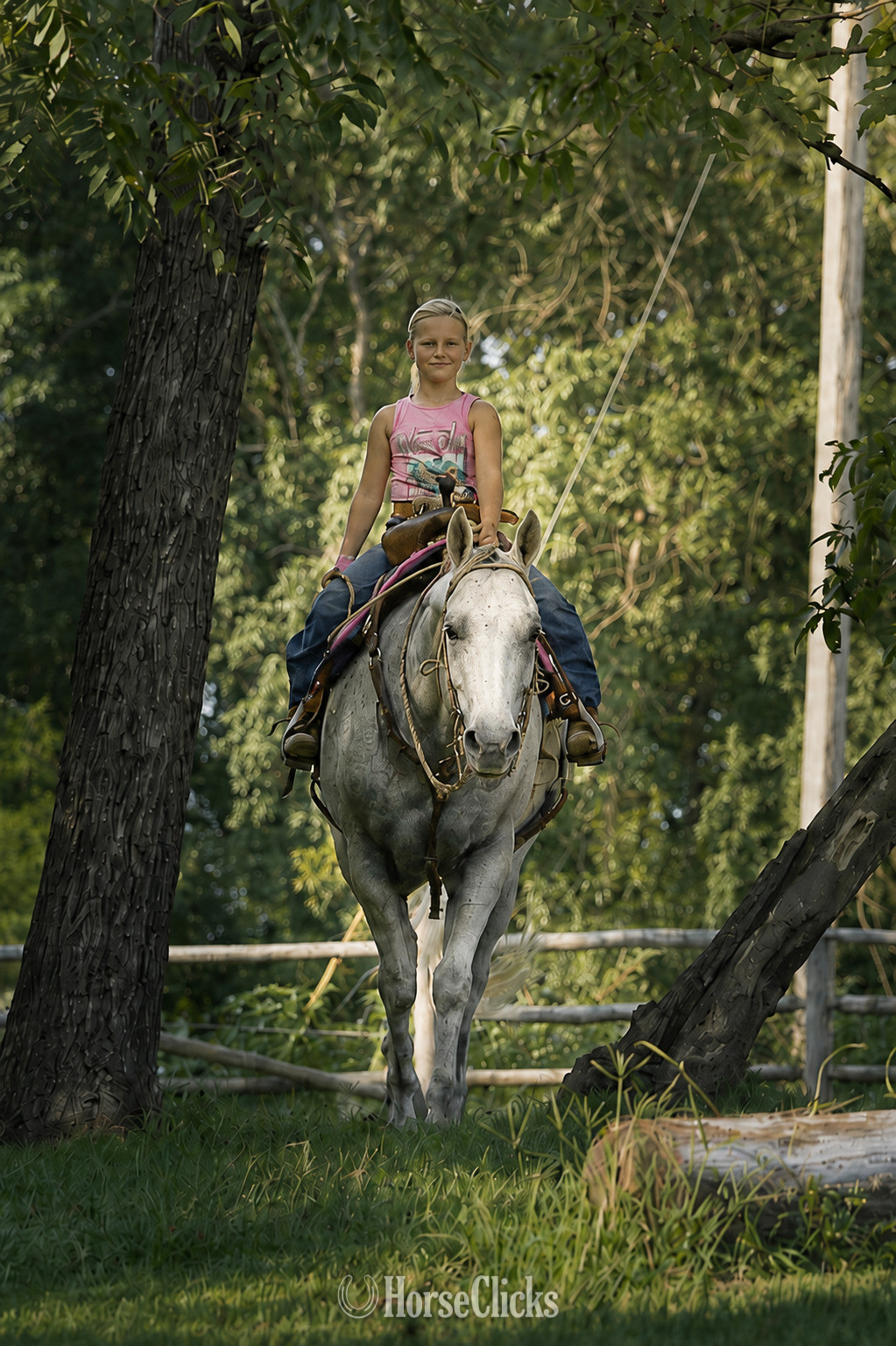 Quarter Horse - "Silver " Grey Gelding Quarter Horse
