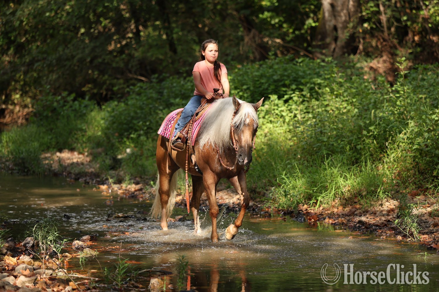 "Whiz and Dunnit" Palomino Gelding Quarter Horse