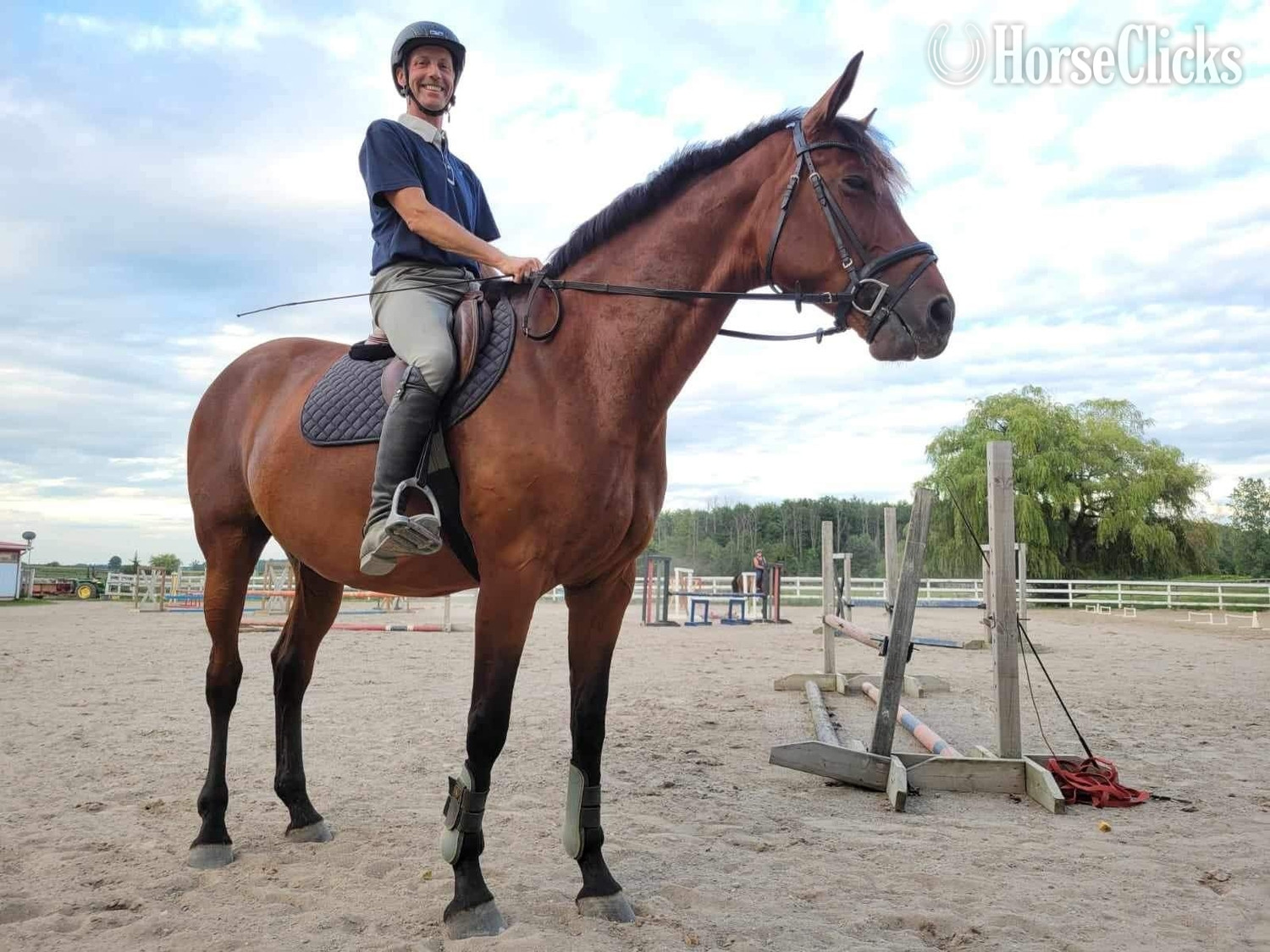 Ontario "EWSZ Ovita " Bay Mare Warmblood