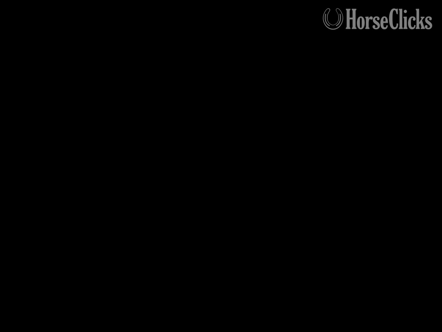 "Echo" Sorrel Gelding Quarter Horse in Pennsylvania