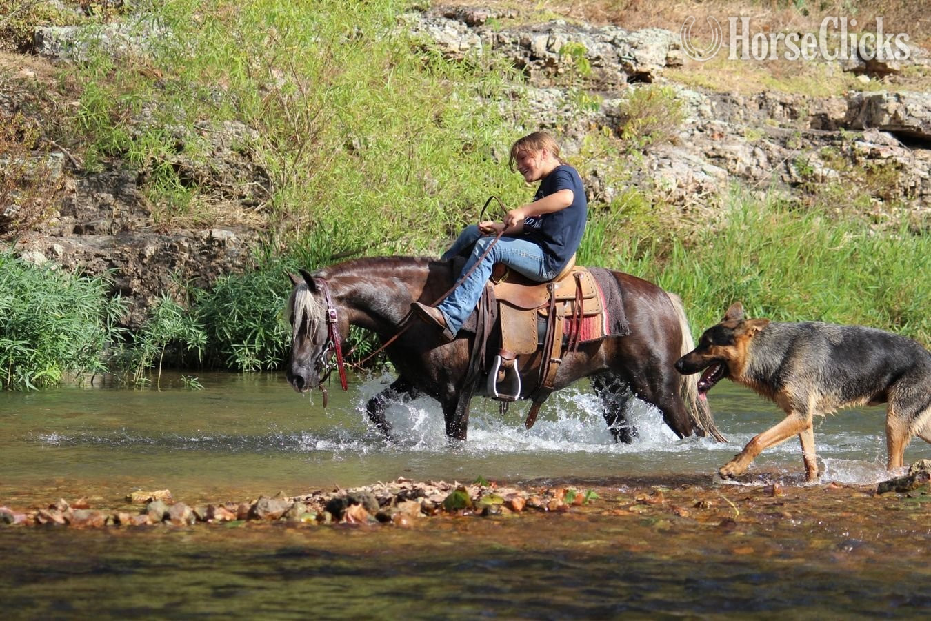 Pony - "Raspberry" Silver Bay Mare Pony in Missouri
