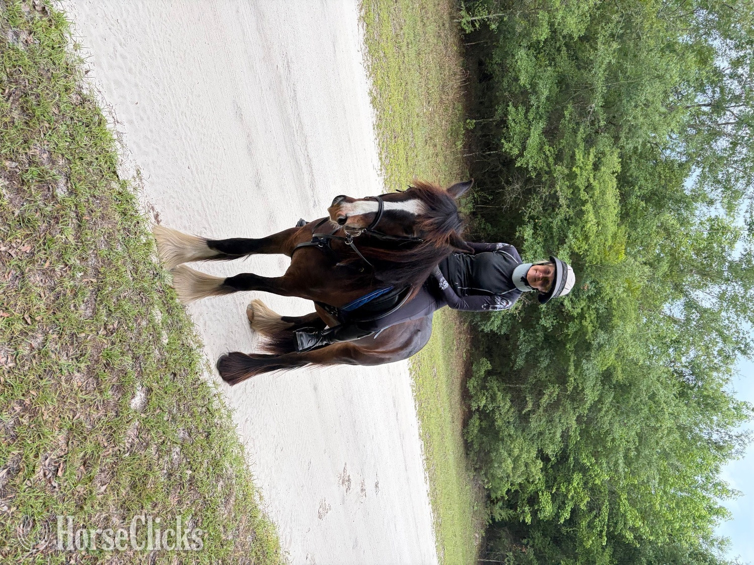 "Keep of faith" Bay Gelding Gypsy Vanner