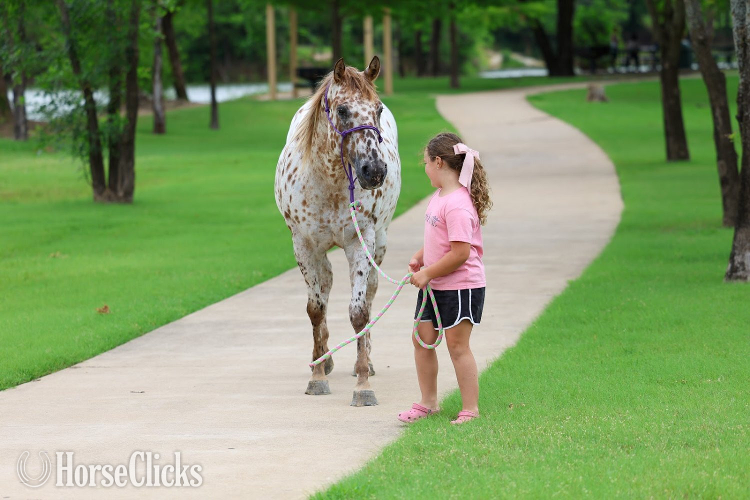 "TROPICAL PARADISE" Spotted Mare Appaloosa Texas