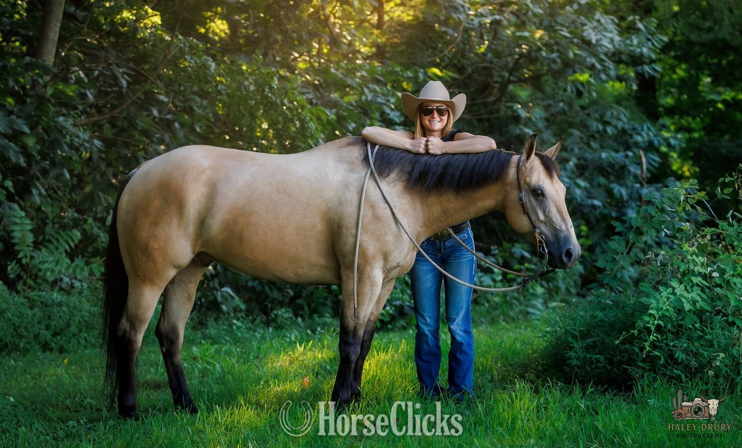 Kentucky "Zeus " Buckskin Gelding Quarter Horse