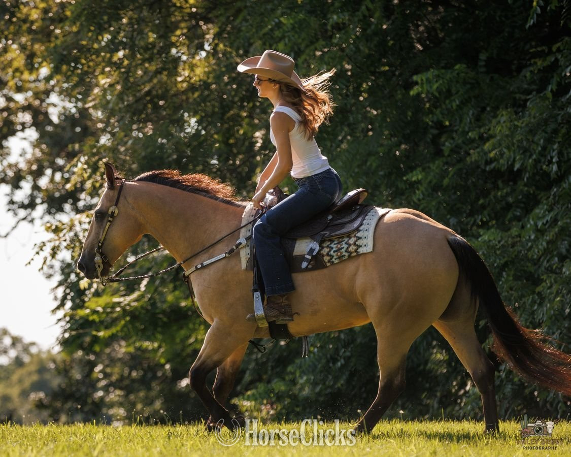 "Zeus " Buckskin Gelding Quarter Horse Kentucky