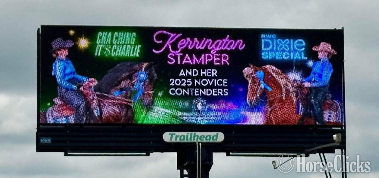 Kentucky "DIXIE SPECIAL "COOP"" Sorrel Gelding Tennessee Walker