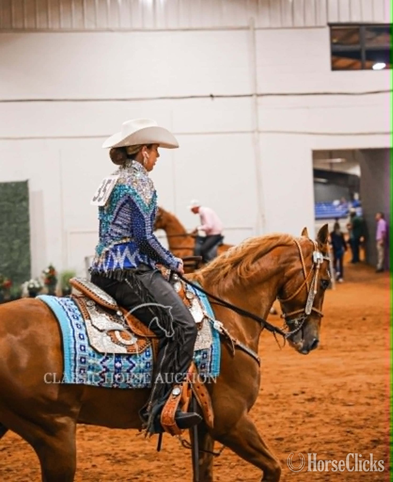 Tennessee Walker - "DIXIE SPECIAL "COOP"" Sorrel Gelding Tennessee Walker in Kentucky