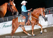 "DIXIE SPECIAL "COOP"" Sorrel Gelding Tennessee Walker