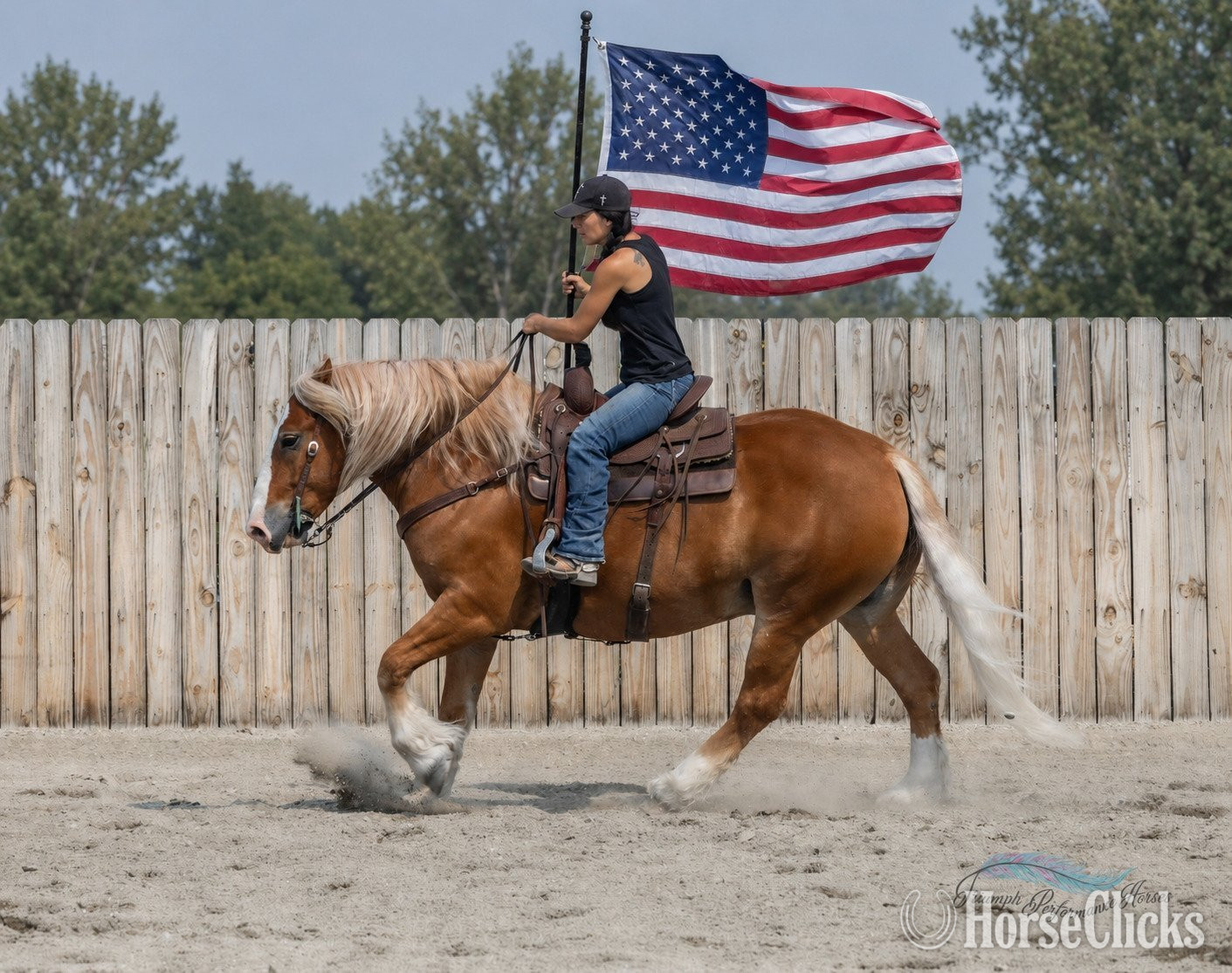 Draft - "Shorty " Chestnut Gelding Draft in Montana