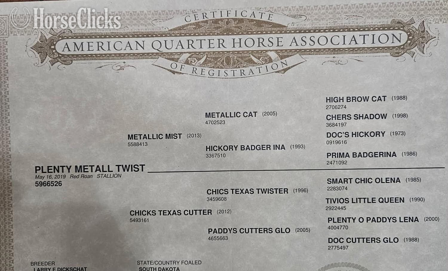 "TWISTER" Red Roan Gelding Quarter Horse - Quarter Horse in West Virginia