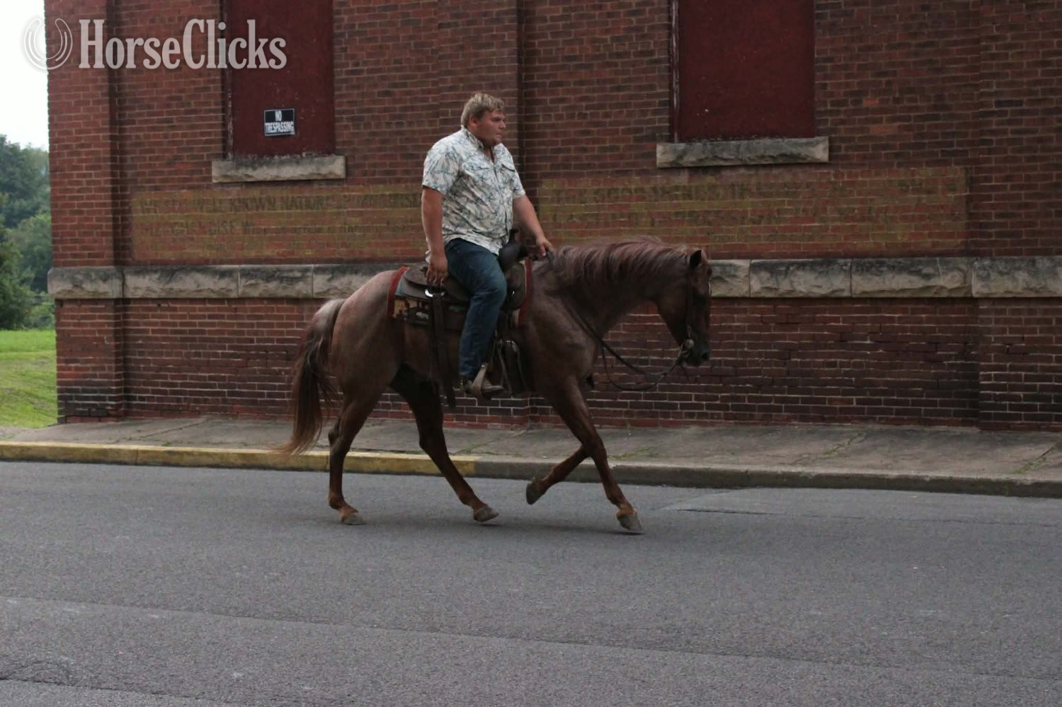 "TWISTER" Red Roan Gelding Quarter Horse West Virginia