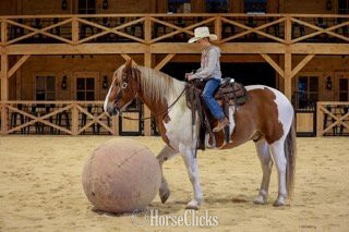 "Steve McQueen" Pinto Gelding Belgian Pennsylvania