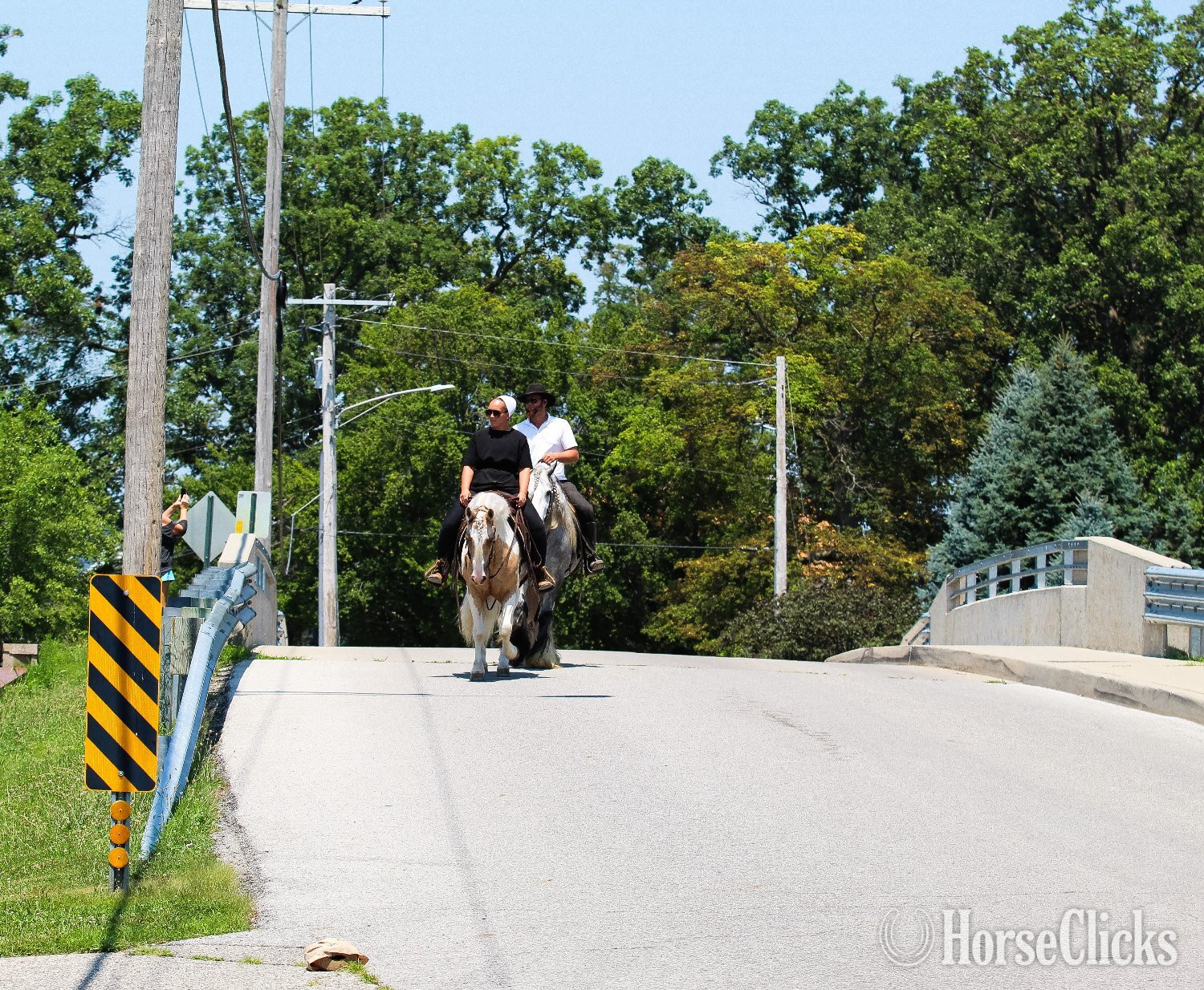 Welsh Pony - "Mayo " Pinto Gelding Welsh Pony