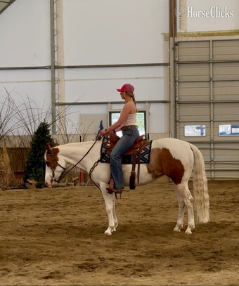 "Little Peppe Encore " Sorrel Mare Paint