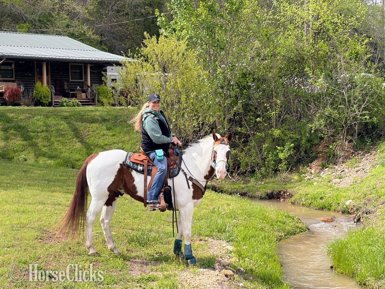 "Exotic Treasure "Token"" Tabiano Gelding Paint Michigan