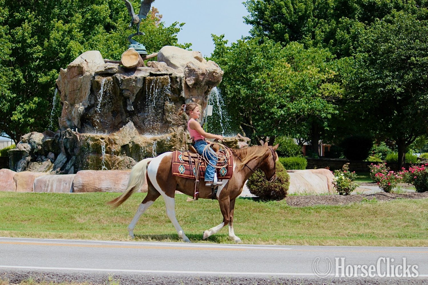 "Eagle" Pinto Gelding Pony - Pony in Missouri
