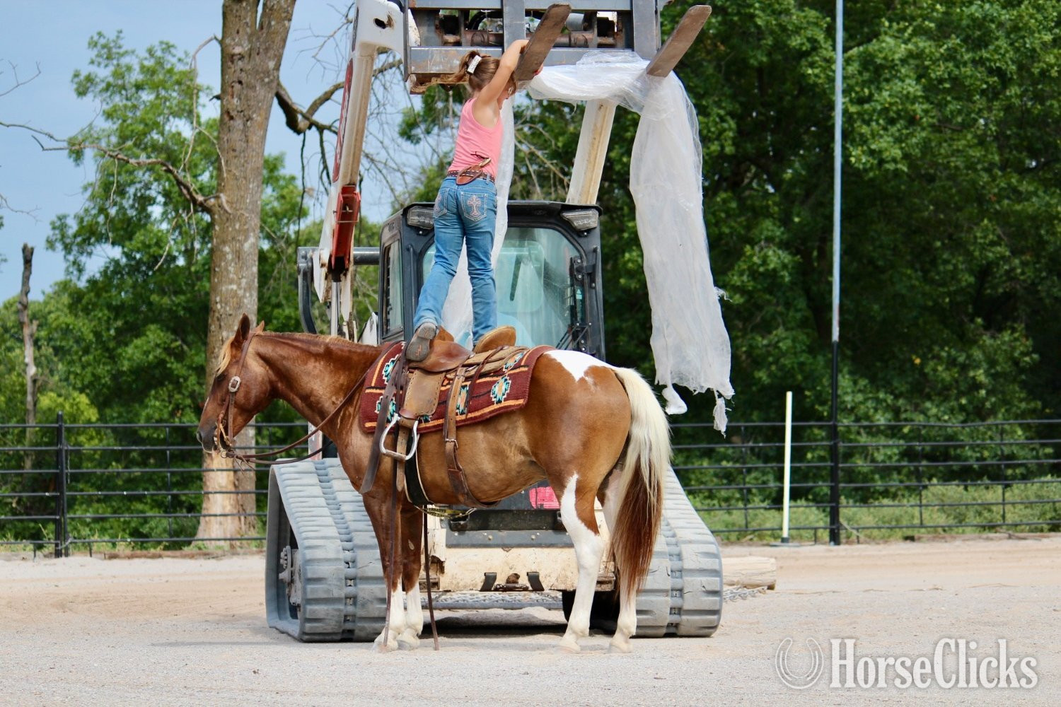 "Eagle" Pinto Gelding Pony - Pony