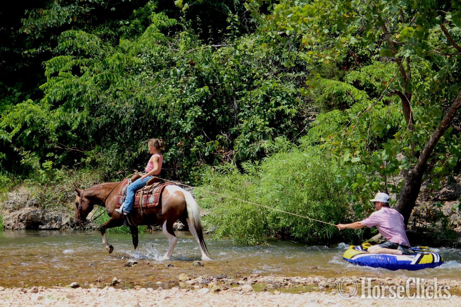 "Eagle" Pinto Gelding Pony Missouri