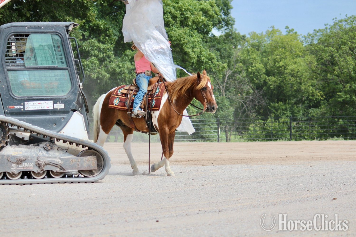 Pony - "Eagle" Pinto Gelding Pony in Missouri