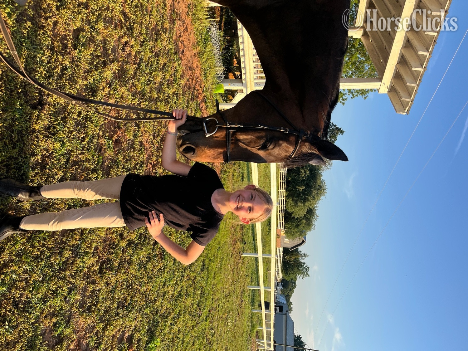 "Gus" Bay Gelding Thoroughbred - Thoroughbred in Georgia