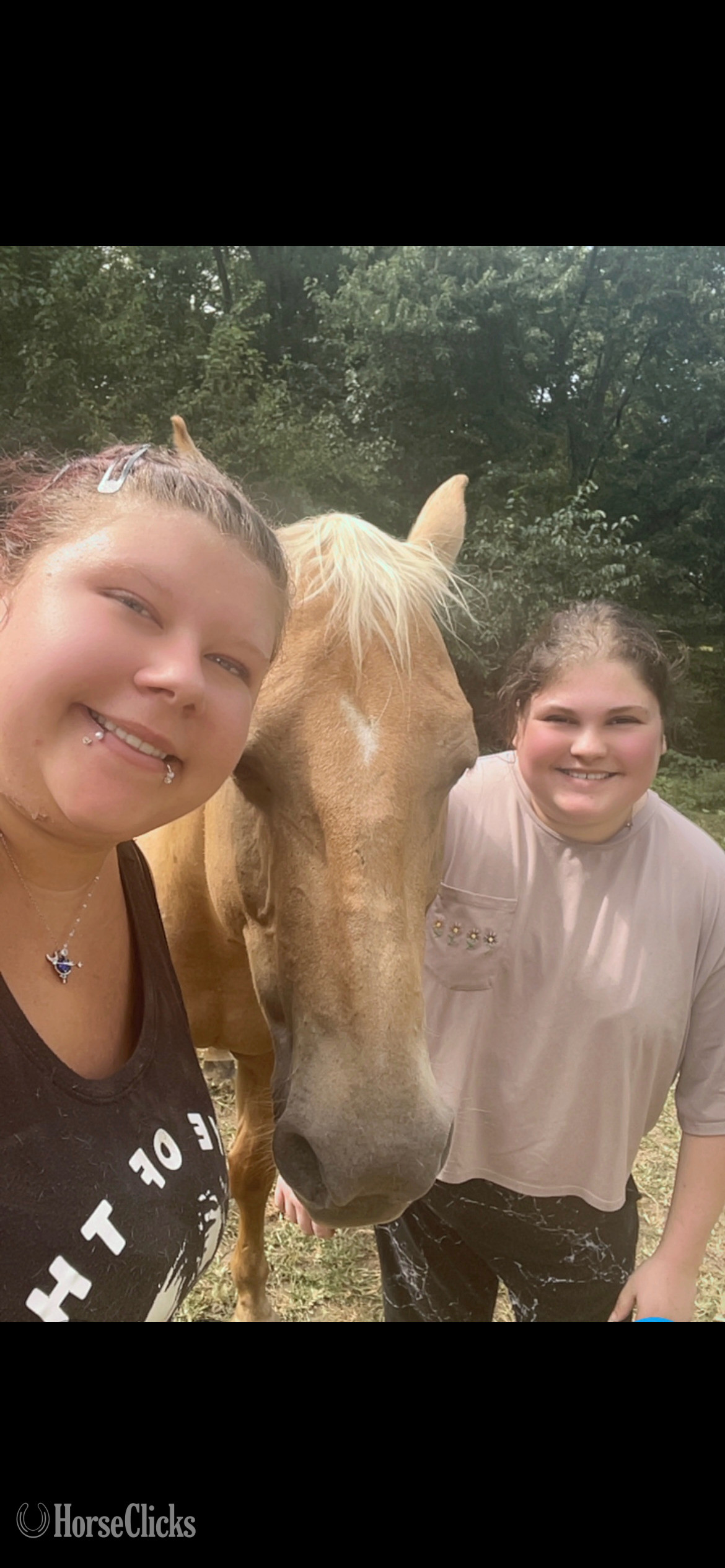 Quarter Horse - "Trigger AKA Big Tigg" Palomino Gelding Quarter Horse