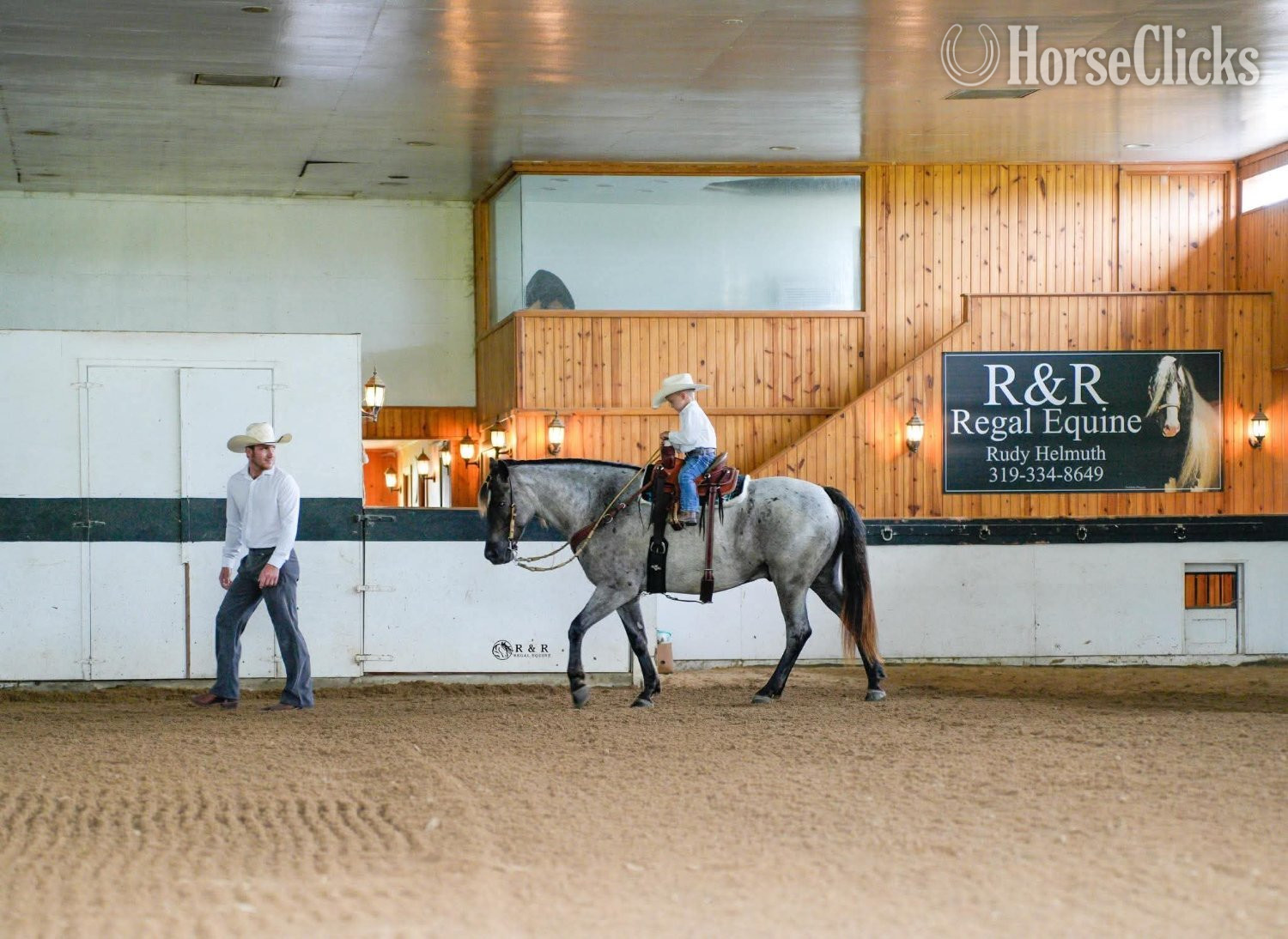 "Big Skye" Blue Roan Gelding Draft Iowa