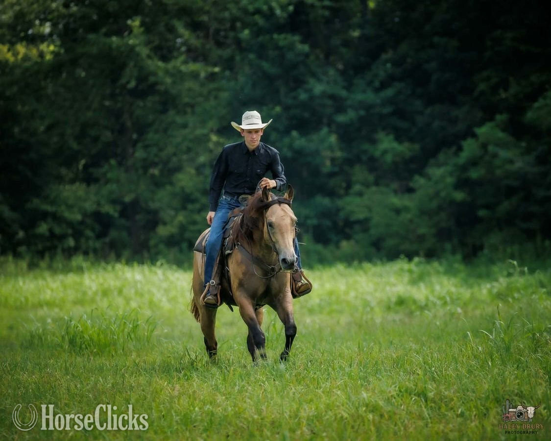 "Joe" Buckskin Gelding Quarter Horse Kentucky
