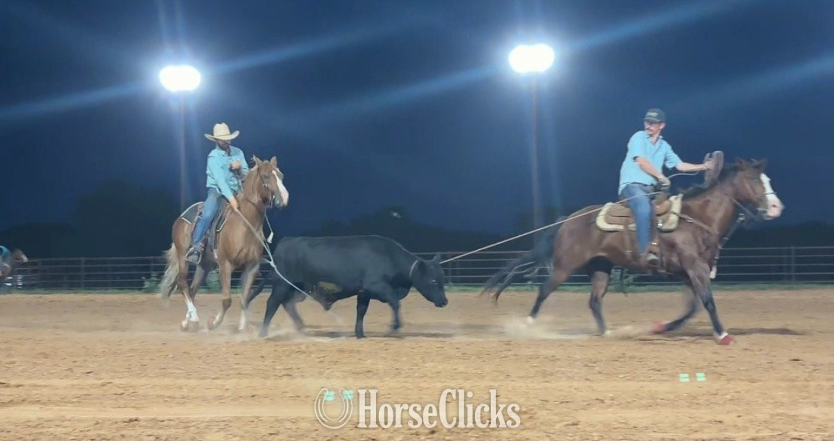 "Lips" Sorrel Gelding Quarter Horse - Quarter Horse in Texas