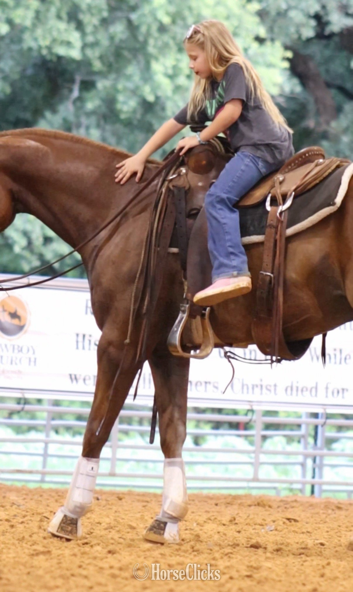 "Lips" Sorrel Gelding Quarter Horse - Quarter Horse