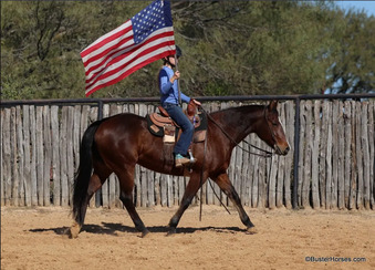 "Autumn"  Mare Quarter Horse