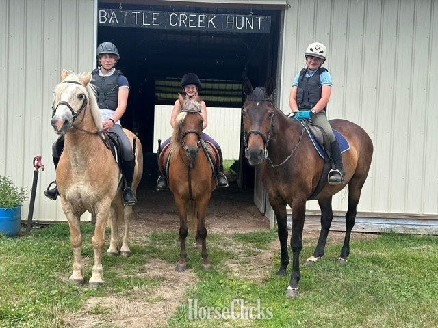 "Piper" Silver Bay Mare Pony - Pony in Michigan