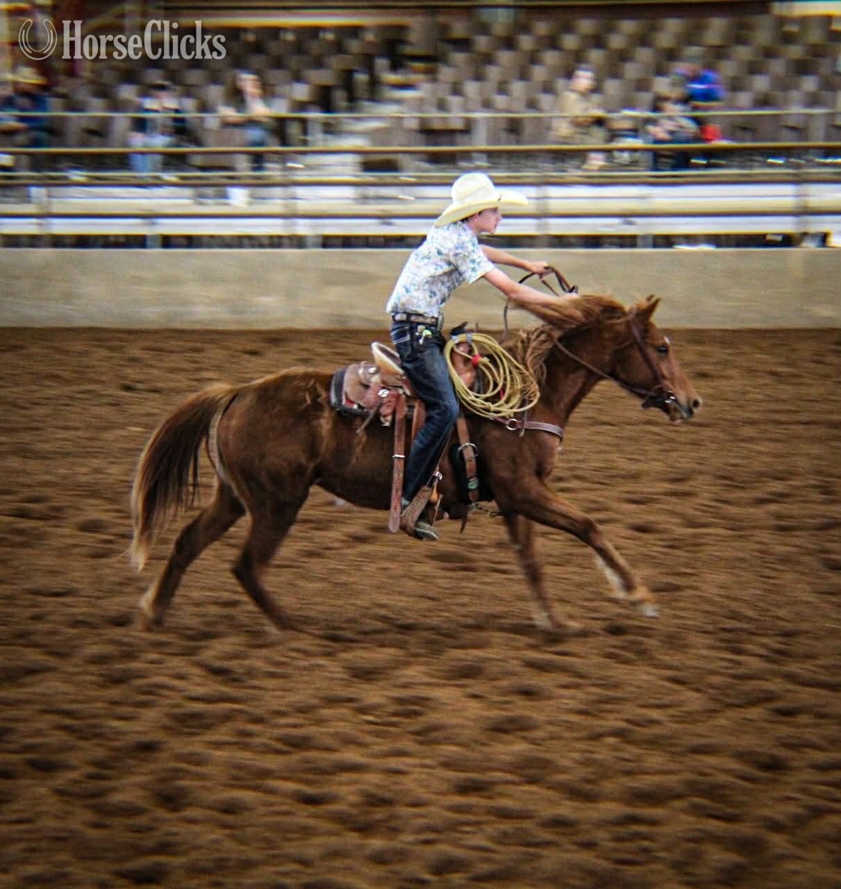 Texas "Maple" Sorrel Filly Quarter Pony