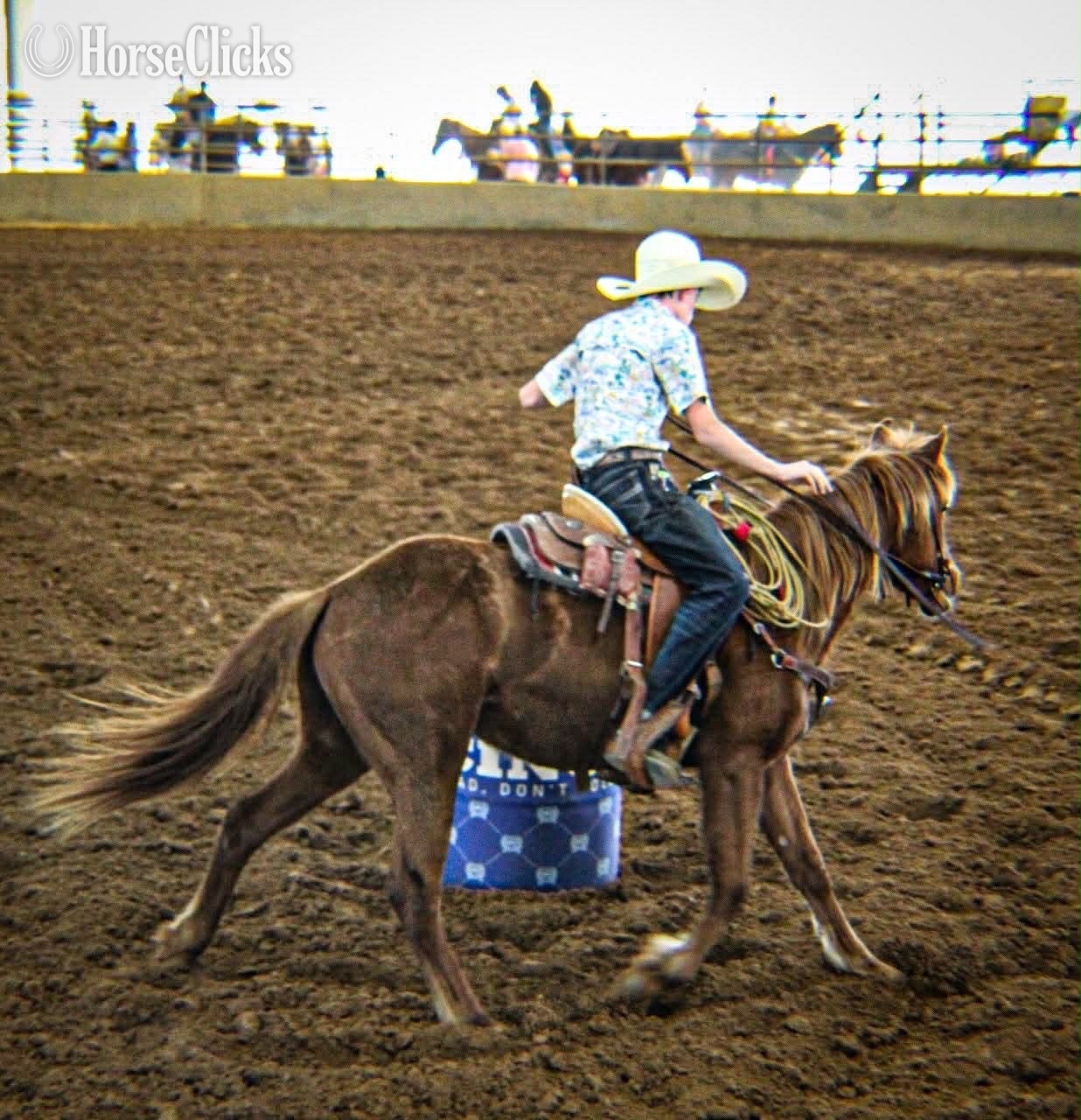 "Maple" Sorrel Filly Quarter Pony - Quarter Pony